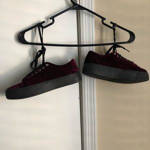 Maroon Velvet Creepers